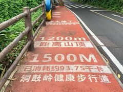 -海南铜鼓岭景区