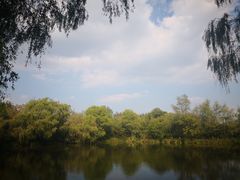 -溱湖国家湿地公园