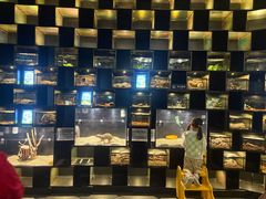 -太平洋海底世界