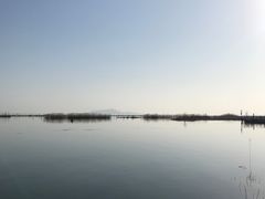 -太湖湖滨国家湿地公园-停车场