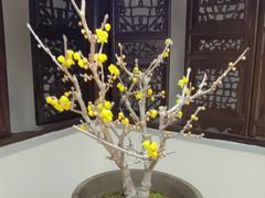 -无锡梅园公园