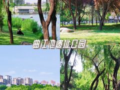 -西安曲江池遗址公园