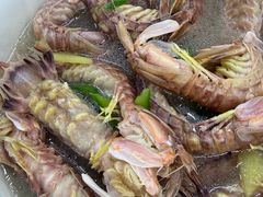 盐水濑尿虾-贞姨美食·老字号海鲜大排档