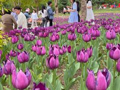 -长春公园(普阳街道)