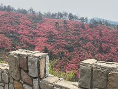 -木兰云雾山