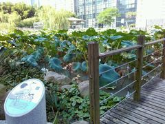 -苏州河梦清园环保主题公园