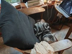 -咖法森林·咖啡  酒吧(天河店)