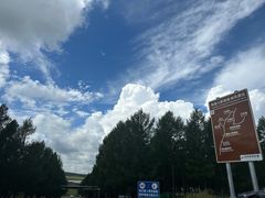 -塞罕坝国家级自然保护区