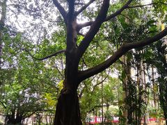 -北海市海滨公园