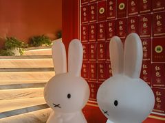 -鱼翅楼·津派砂锅鱼翅(水上公园店)