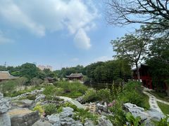 -顺峰山公园