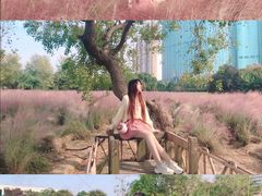 -艾溪湖湿地公园