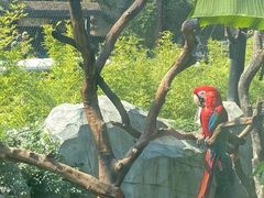 -武汉动物园