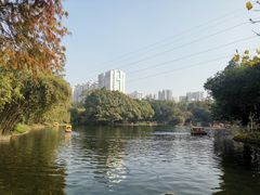 -晓港公园