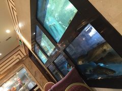 -海晖酒楼·顺德鱼生(荣华店)
