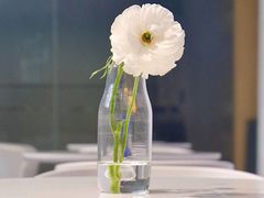 -intime coffee(芝麻街店)