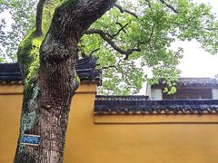 -西园戒幢律寺
