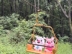 -帽儿山风景区