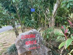 -中国科学院西双版纳热带植物园