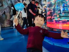 -威海华夏城景区