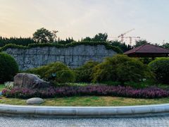 -嘉定紫藤园