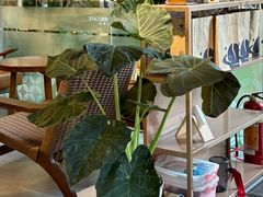 -星宙咖啡STELLARIS CAFE(广告产业园店)