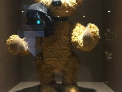 -济州岛泰迪熊博物馆