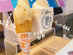 -野人牧坊Gelato(天津南开大悦城店)