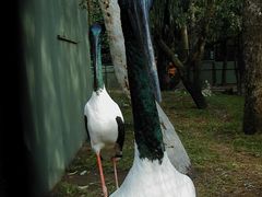 -费瑟代尔野生动物园