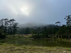 -海南热带雨林国家公园吊罗山景区