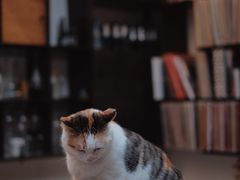-黑胶星球(华发中城商都店)