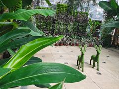 -北京植物园-展览温室