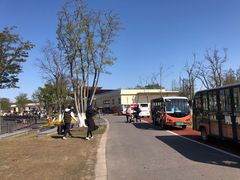 -上海长兴岛郊野公园