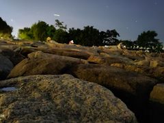 -宝安西湾红树林湿地公园