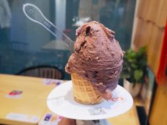 -野人先生现做冰淇淋(北京顺义祥云小镇店)