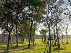 -上海海湾国家森林公园