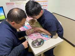 -格蕾宠物医院24H·猫科·肿瘤科·骨科中心(福州总院)