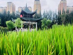 -东北农业大学