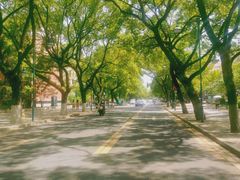 -岳麓山风景名胜区