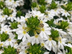 -徐家汇源景区-衡山公园