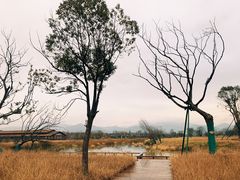 -良渚古城遗址公园