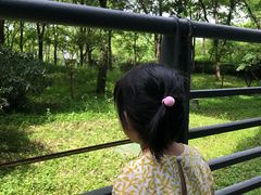 -绍兴鉴湖君澜大酒店