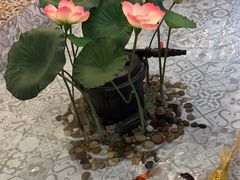 -ins森林童话餐厅coffee&bistro