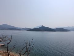 -望湖烤鱼