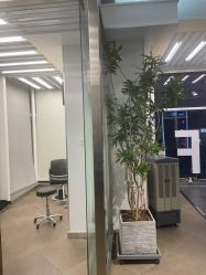 -BOF HAIR BY HONTO