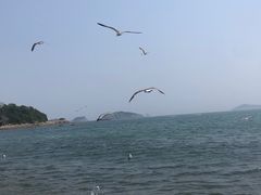 -银沙滩浴场