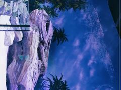-海合安武汉极地海洋公园