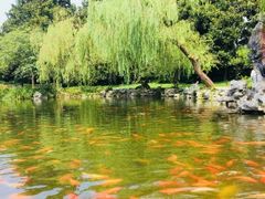 -西湖外事游船(花港观鱼码头)