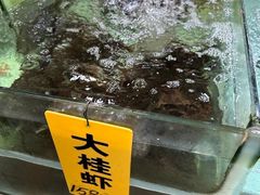 -寻味顺德·南记酒家·传统顺德菜·鱼生(广源路店)