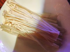 -长沙猫歌音乐餐厅(湖南女子大学店)